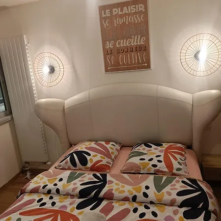 住宿加早餐酒店 D'hote Confort - Proximite Directe Geneve